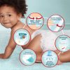 Pampers Premium Care Pants bugyipelenka 4, 9-15 kg HAVI PELENKACSOMAG 228 db