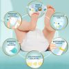 Pampers Premium Care pelenka 2, 4-8 kg, HAVI PELENKACSOMAG 1+1 448 db