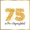 Pantene Pro-V Repair & Protect sampon károsodott hajra (2x1 liter)