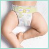 Pampers Premium Care Mini 2, 4-8 kg HAVI PELENKACSOMAG 272 db